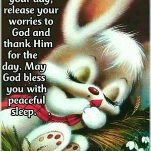 Meet your Posher, Marilyn